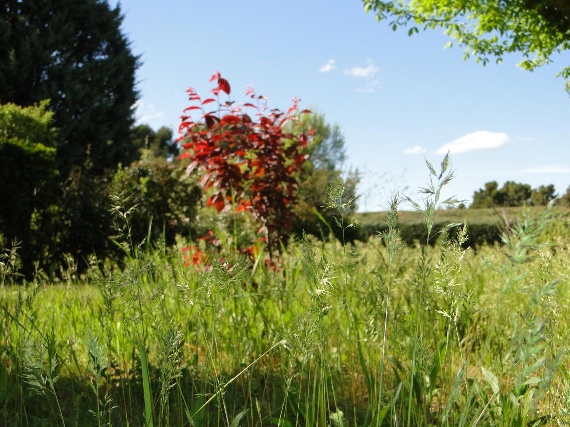 Bed and Breakfast Holzhaus Aix-en-Provence Exterior foto